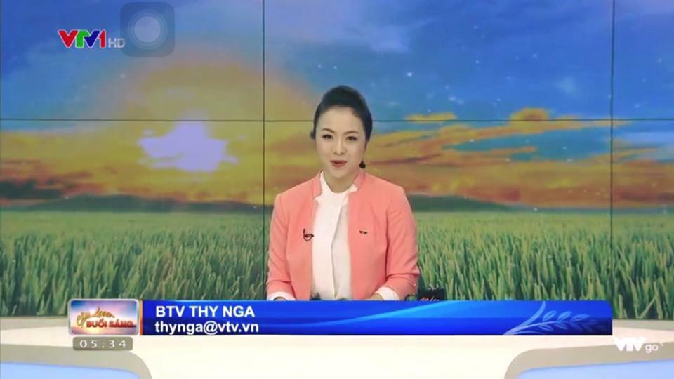 Thy Nga từng có công việc trong mơ với nhiều người ở đài truyền hình.